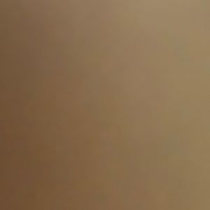 Meet your Posher, Afizah